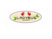 Ladybug Videography
